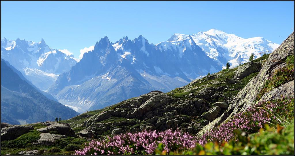 Le Dahu Hotel Chamonix Kültér fotó